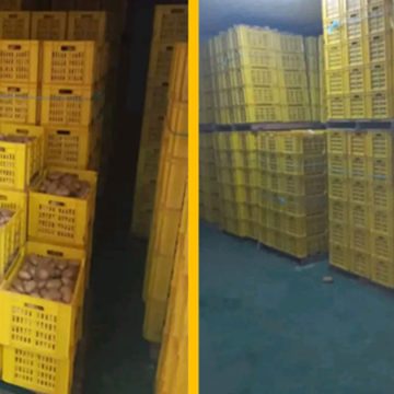 Nabeul : Saisie de 82 tonnes de pommes de terre