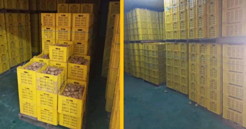 Nabeul : Saisie de 82 tonnes de pommes de terre