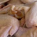 Tunisie : hausse de la production de viande de poulet