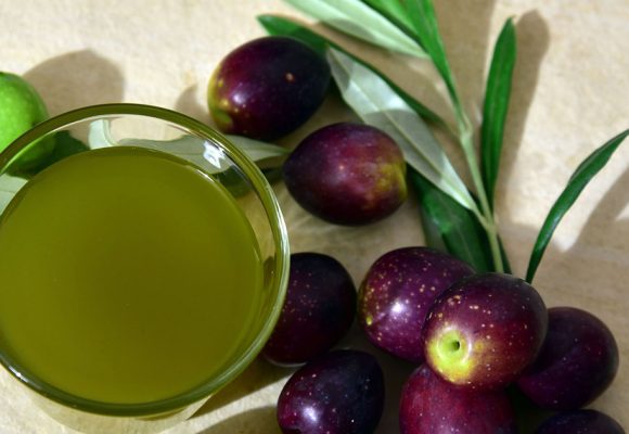 Tunisie : les recettes des exportations d’huile d’olive en hausse de 49,5%