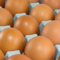 Tunisie : baisse du prix des œufs à la production