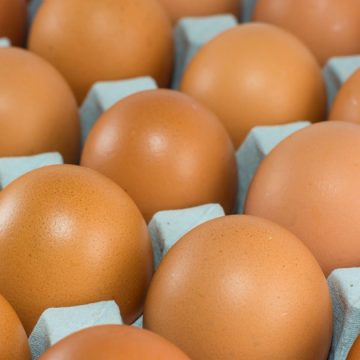Tunisie : la hausse du prix des œufs est due au monopole et à la spéculation