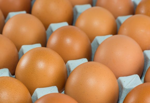 Tunisie : baisse du prix des œufs à la production