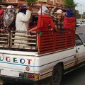 Sidi Bouzid : Pour un transport sécurisé et digne des ouvrières agricoles