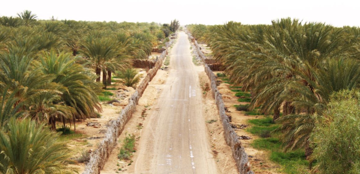 Le Sahara pourrait devenir une source de prospérité pour la Tunisie