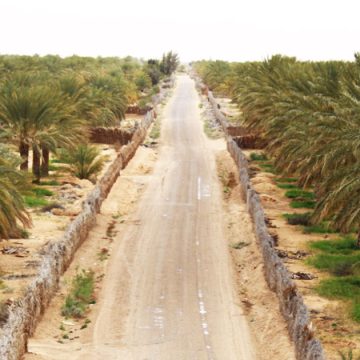 Le Sahara pourrait devenir une source de prospérité pour la Tunisie