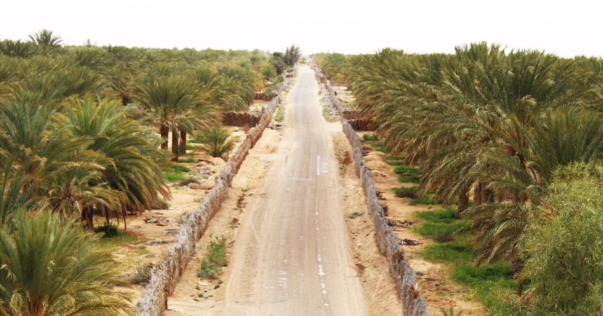 Le Sahara pourrait devenir une source de prospérité pour la Tunisie