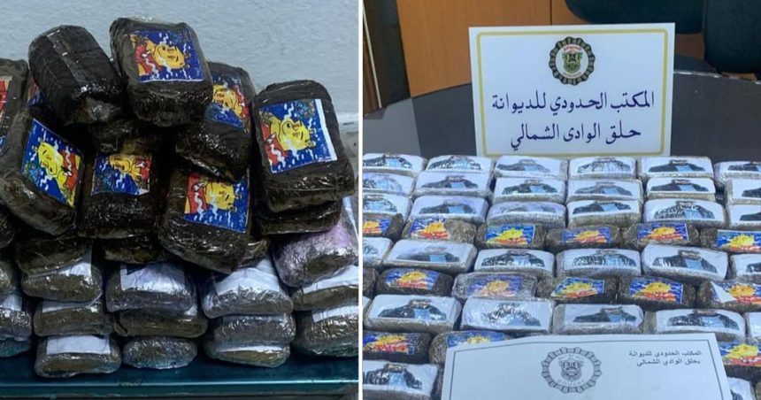 La Goulette : Un voyageur en provenance de Gênes arrêté avec 59 plaquettes de cannabis