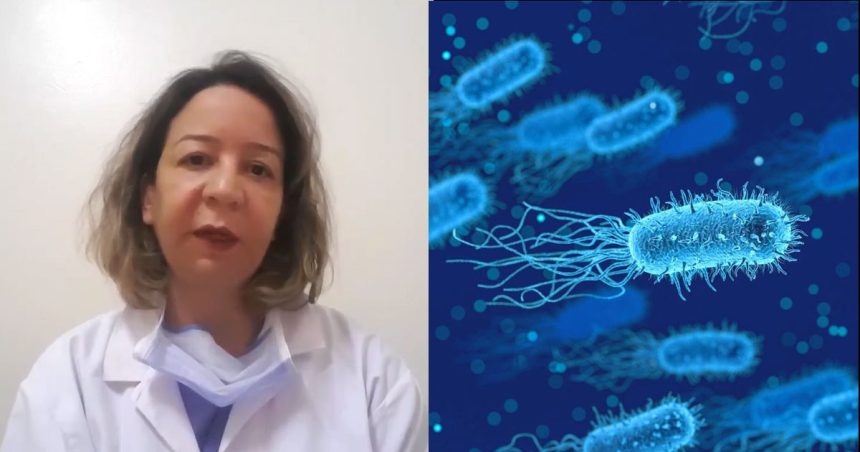 Tunisie : «Il ne faut pas sous-estimer la dangerosité de la shigellose», avertit Dr Borgi