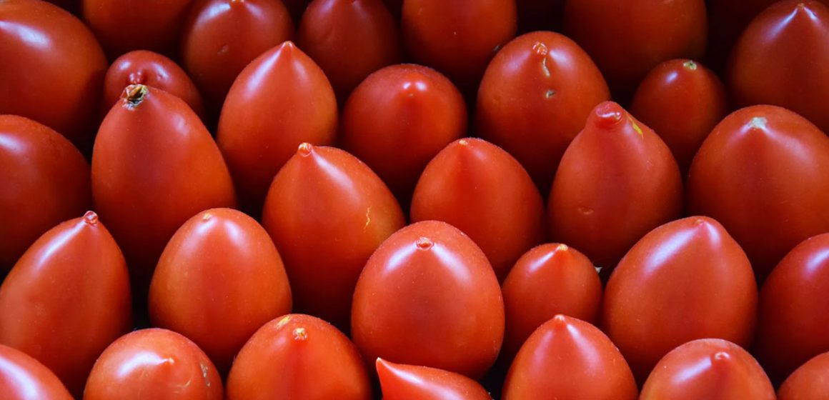Tunisie : la production de tomates menacée par… la facturation !
