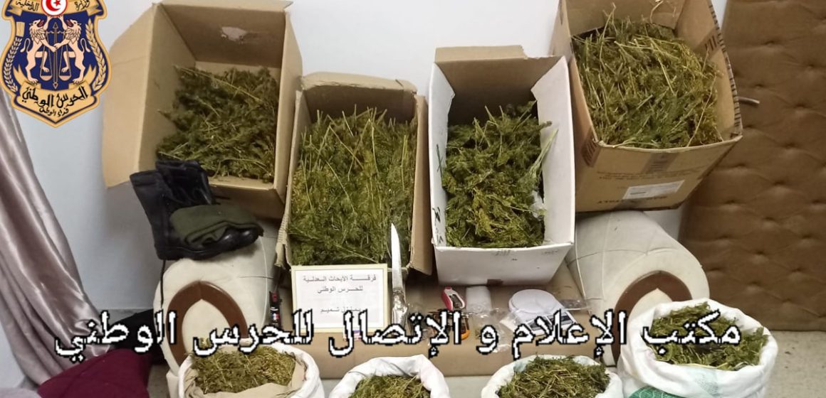 Nabeul : Saisie de 50 Kg de marijuana dans une ferme agricole à Menzel Bouzelfa