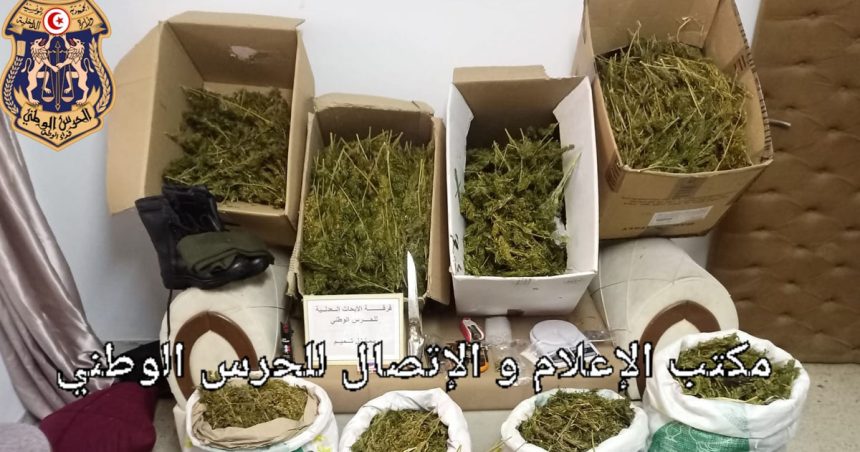 Nabeul : Saisie de 50 Kg de marijuana dans une ferme agricole à Menzel Bouzelfa