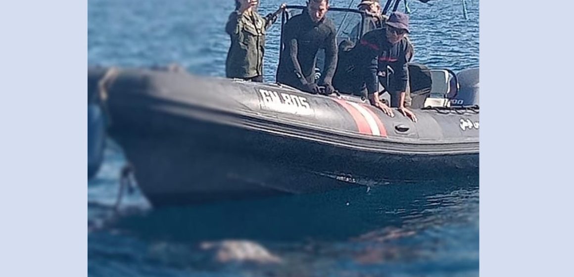 Migration-Naufrage d’un bateau à Bizerte : Un 3e corps repêché, les recherches se poursuivent