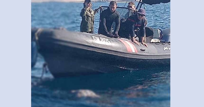 Migration : Cinq corps repêchés et 77 rescapés entre Zarzis et Mahdia