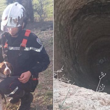El-Haouaria : Sauvetage d’un chien coincé dans un puits profond depuis 2 jours (Photos)