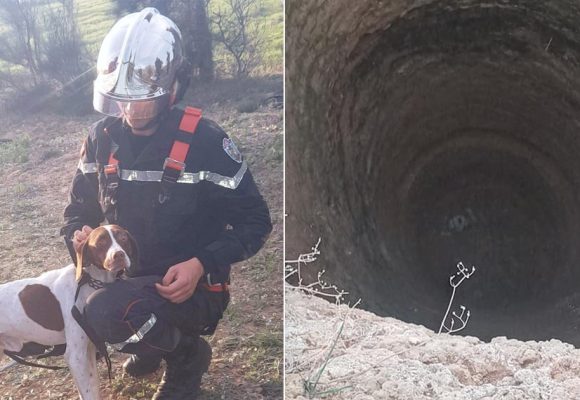 El-Haouaria : Sauvetage d’un chien coincé dans un puits profond depuis 2 jours (Photos)