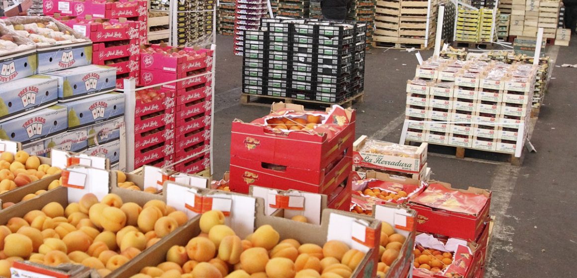 Tunisie : la balance commerciale alimentaire affiche un excédent en février 2023