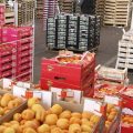 Tunisie : baisse de 64% du déficit de la balance commerciale alimentaire (fin novembre 2023)