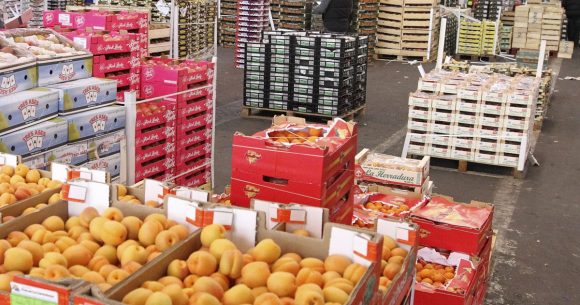 La Tunisie enregistre une amélioration de la balance commerciale alimentaire