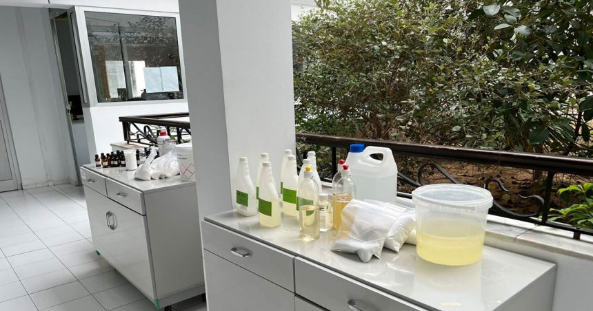 Tunisie : perspectives et opportunités des plantes médicinales et aromatiques