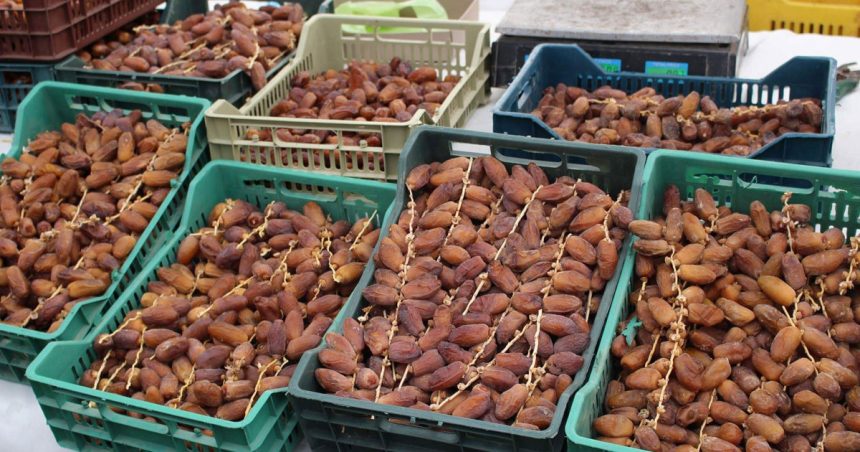 Tunisie : les recettes des exportations de dattes en hausse de 6% en 2022