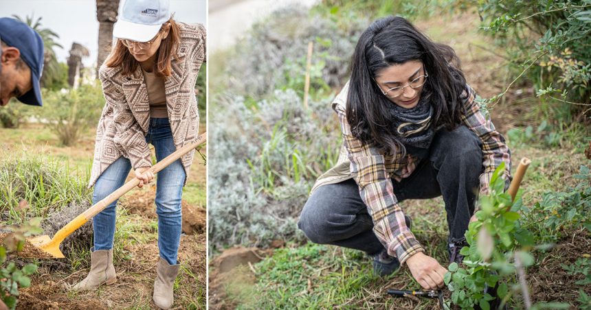 La Fondation Biat plante 500 arbres au jardin des plantes de Tunis