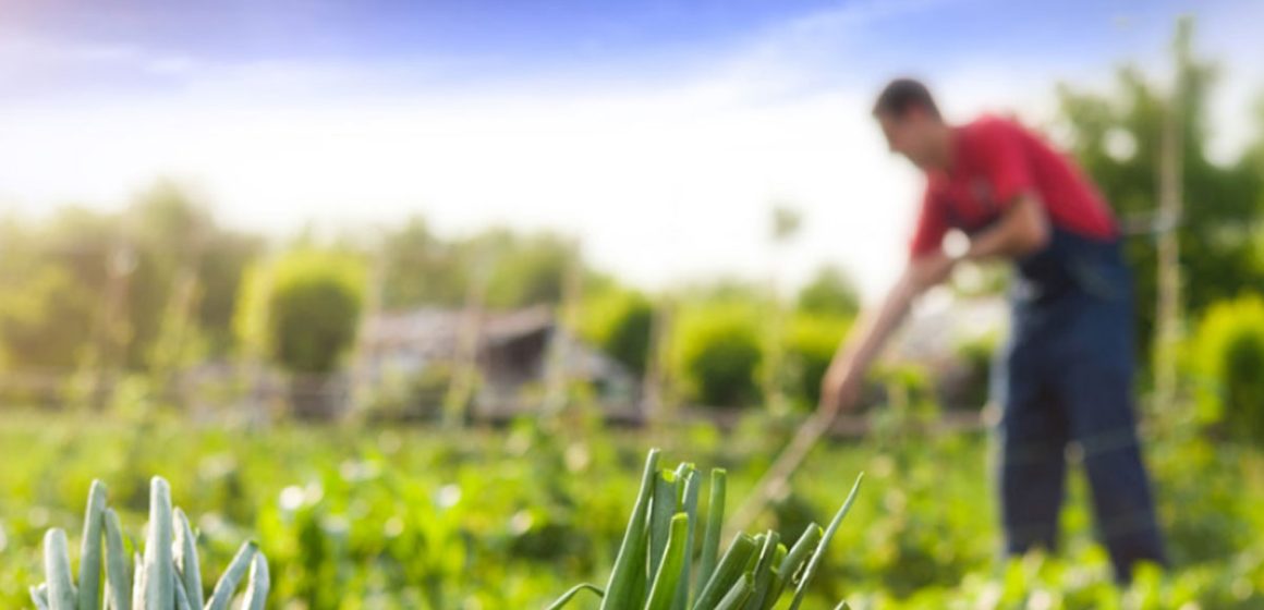 Le plan de l’agriculture familiale en Tunisie (2022-2030)