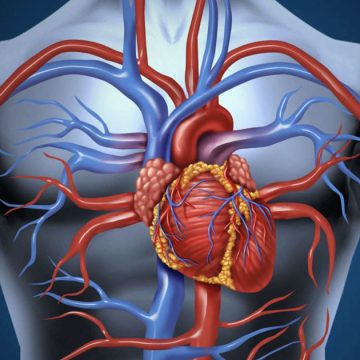 Les potins du cardiologue : Faut-il inventer le stenting préventif des coronaires droites dominantes ?