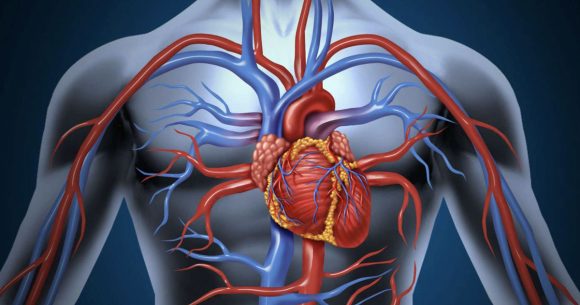 Les potins du cardiologue : Faut-il inventer le stenting préventif des coronaires droites dominantes ?