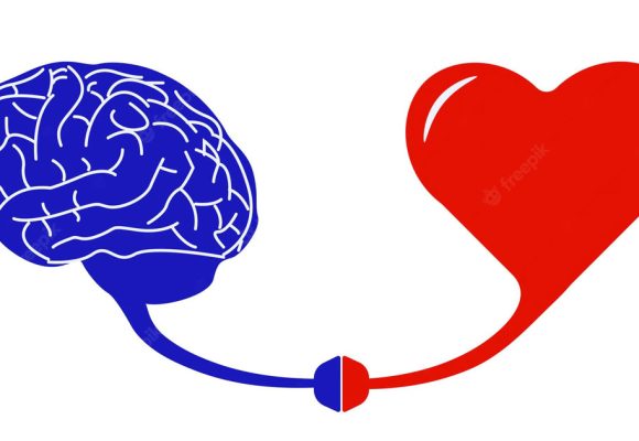 Santé : préserver son cœur c’est préserver son cerveau