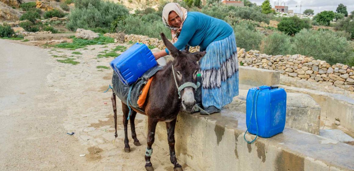 La consommation moyenne d’eau par habitant en Tunisie va tomber à moins de 350 m3/an en 2030