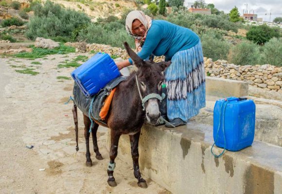 Tunisie : d’ici 2050, 71% des pertes de PIB liés au climat seront dues aux pénuries d’eau