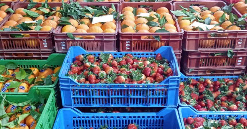 Tunisie : réduction momentanée du déficit de la balance alimentaire