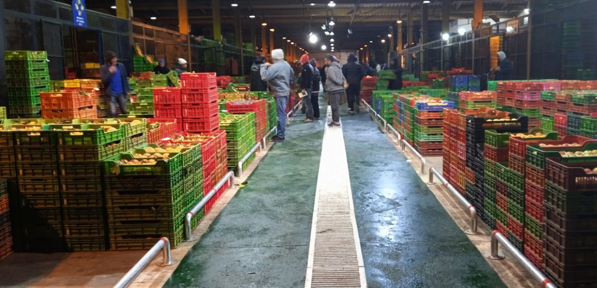 Distribution agricole en Tunisie | Un bouc émissaire dans le souk des bestiaux