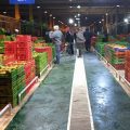 Distribution agricole en Tunisie | Un bouc émissaire dans le souk des bestiaux