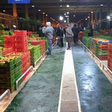 Distribution agricole en Tunisie | Un bouc émissaire dans le souk des bestiaux