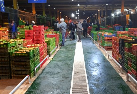 Distribution agricole en Tunisie | Un bouc émissaire dans le souk des bestiaux