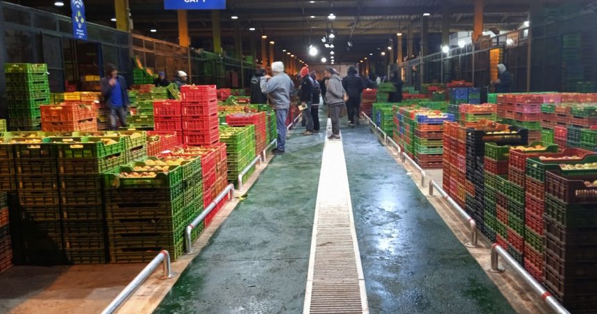 Distribution agricole en Tunisie | Un bouc émissaire dans le souk des bestiaux