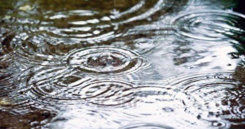 Tunisie : des initiatives politiques pour… faire des ronds dans l’eau