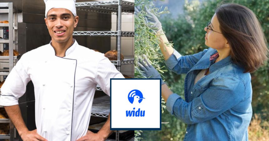 Widu, projet d’aide des expatriés à leurs proches en Tunisie