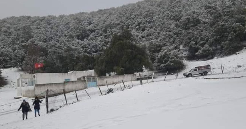 Météo-Tunisie : Froid et pluies prévus cette nuit