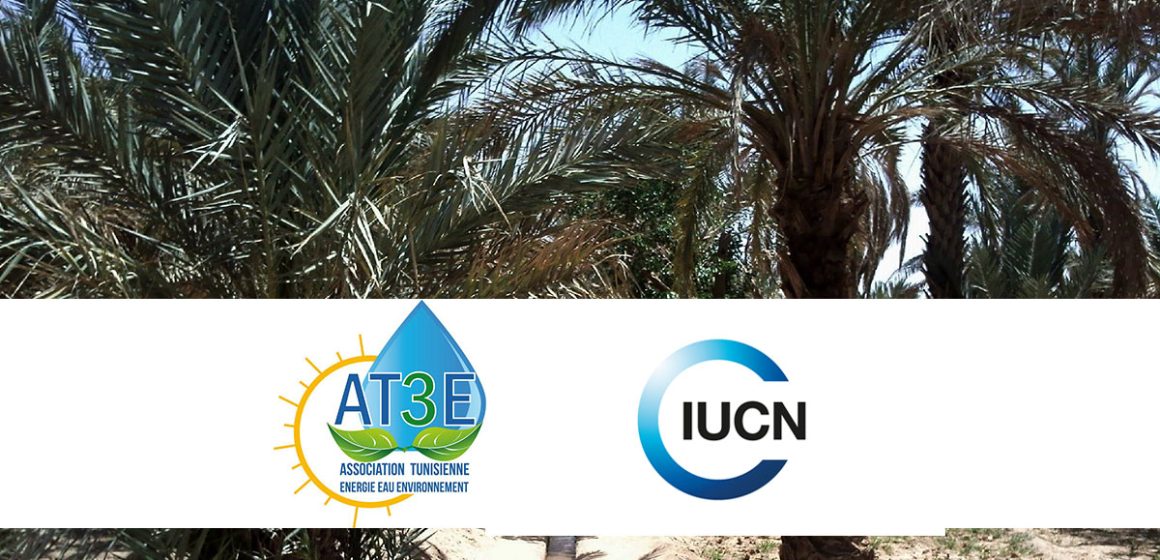 L’IUCN au chevet de l’écosystème oasien en Tunisie