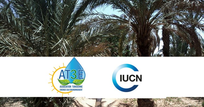 L’IUCN au chevet de l’écosystème oasien en Tunisie