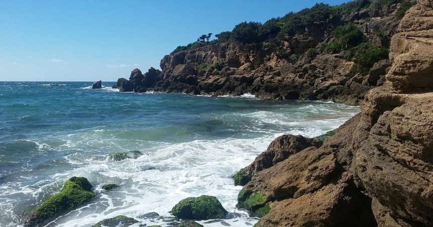 Des Tunisiens humiliés par des agents algériens au poste frontalier d’El-Kala
