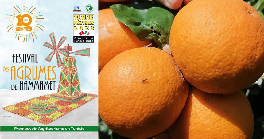 Tunisie : Hammamet organise son 10e Festival des agrumes