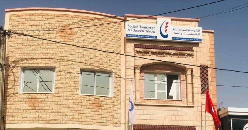 Tunisie : la Steg lance un projet pour la réduction de la consommation d’énergie