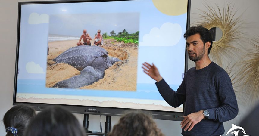 Tunisie : Monastir, un site de nidification des tortues marines  
