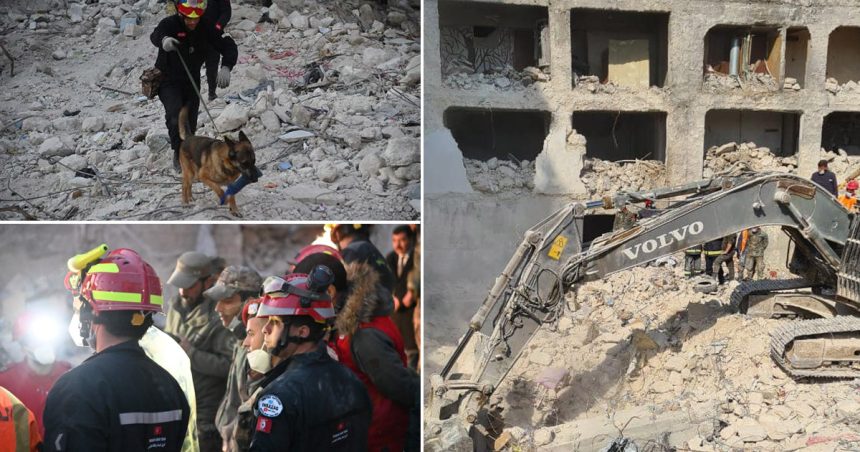 Séisme : En images, les équipes de secours tunisiennes à pied d’œuvre en Syrie