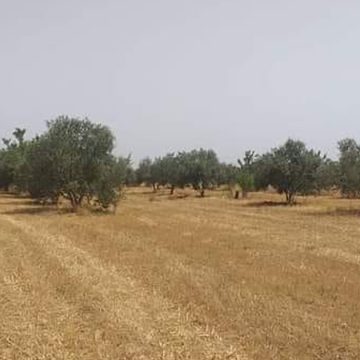 Tunisie : L’État récupère un terrain domanial agricole de 11 ha à Sfax