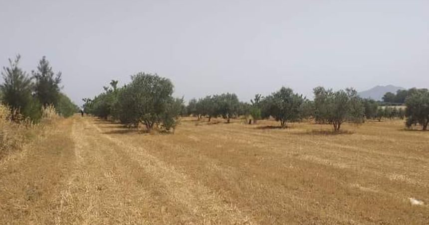 Tunisie : L’État récupère un terrain domanial agricole de 11 ha à Sfax